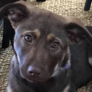 Meet your Posher, Deandra